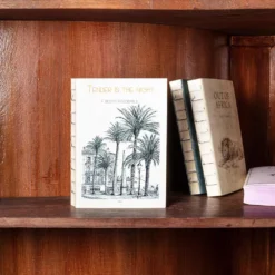 Carnet Tender Is The Night