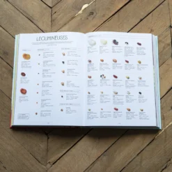 Livre - On Va Déguster L'Italie -Décoration D'intérieur Livre Italie 4