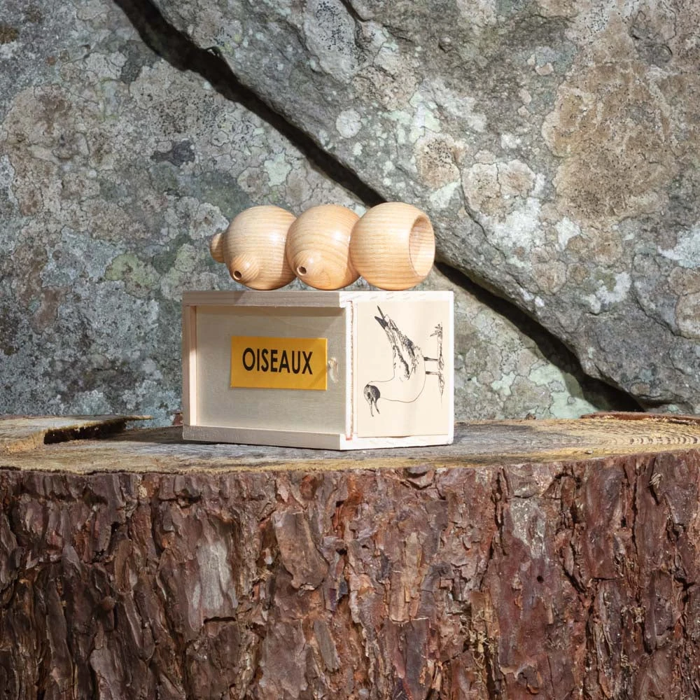 Appeau à Mouette 2 Appeau à Mouette – Image 2