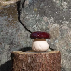 Boîte Champignon En Faïence -Décoration D'intérieur MERCI JARDIN 04 23 1727