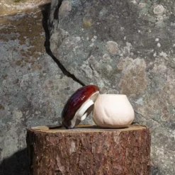 Boîte Champignon En Faïence -Décoration D'intérieur MERCI JARDIN 04 23 1729