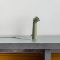 Steamer - Sauge -Décoration D'intérieur SessionSansTitre4087