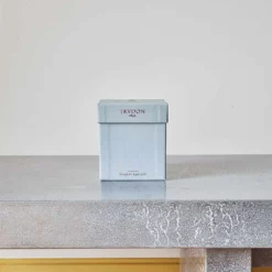 Bougie Parfumée Trudon 270 G - Madeleine -Décoration D'intérieur boujie 3