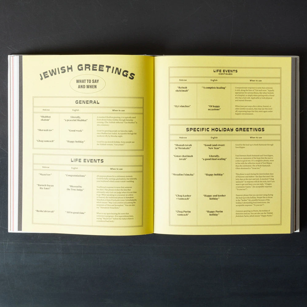 Livre - The Newish Jewish Encyclopedia 3 Livre - The Newish Jewish Encyclopedia – Image 3