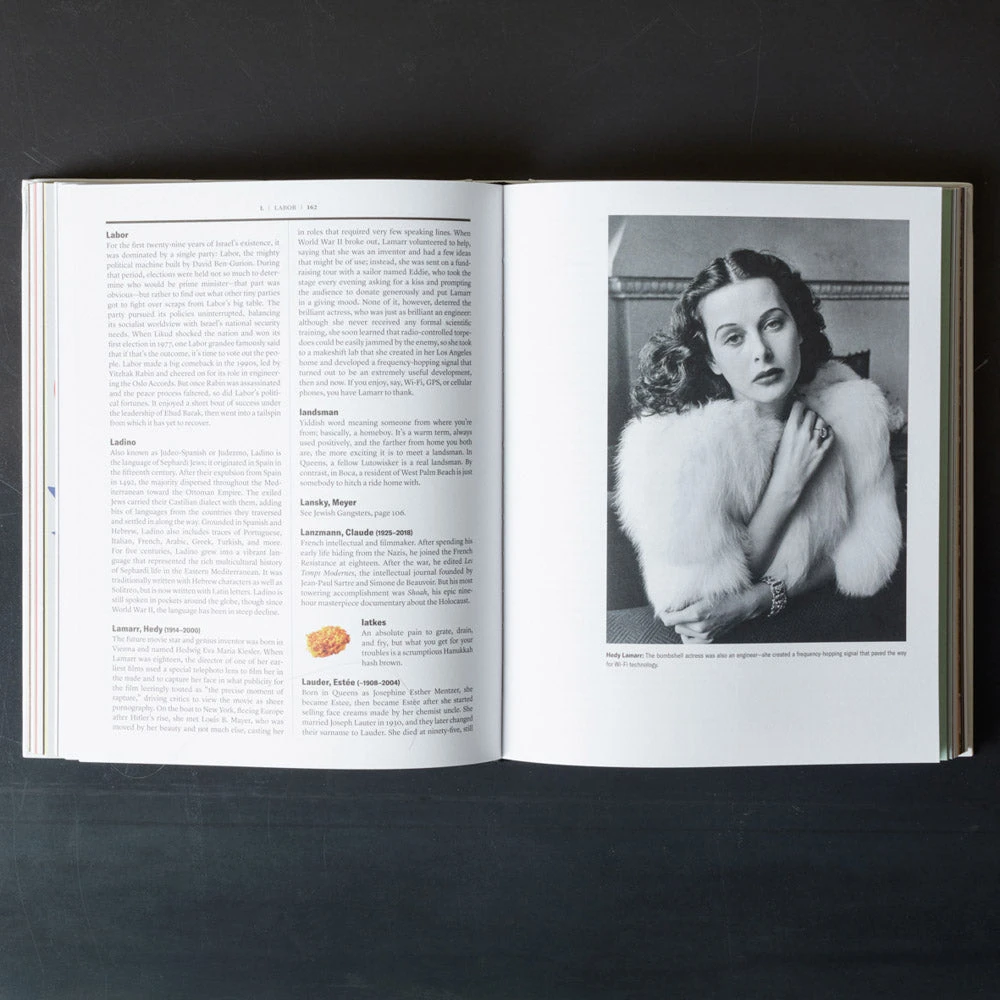 Livre - The Newish Jewish Encyclopedia 4 Livre - The Newish Jewish Encyclopedia – Image 4