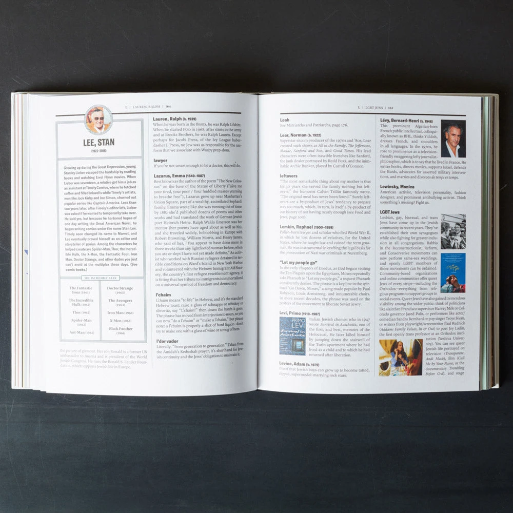 Livre - The Newish Jewish Encyclopedia 5 Livre - The Newish Jewish Encyclopedia – Image 5