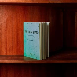 Carnet Peter Pan -Décoration D'intérieur peter pan 2