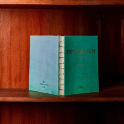 Carnet Peter Pan -Décoration D'intérieur peter pan