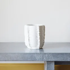 Vase Cactus - Blanc